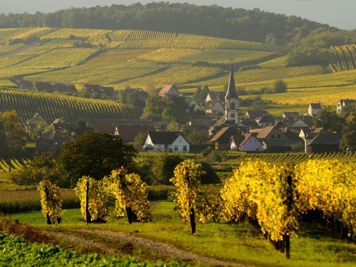 Le Cigogneau-Studio Alcove Au Calme Sainte-Croix-en-Plaine Екстер'єр фото